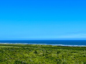 A coastal landscape with a clear sky, a grassy foreground, and the ocean in the distance. - Luana Hasunuma HOTEL&CAFE (Sanmu)