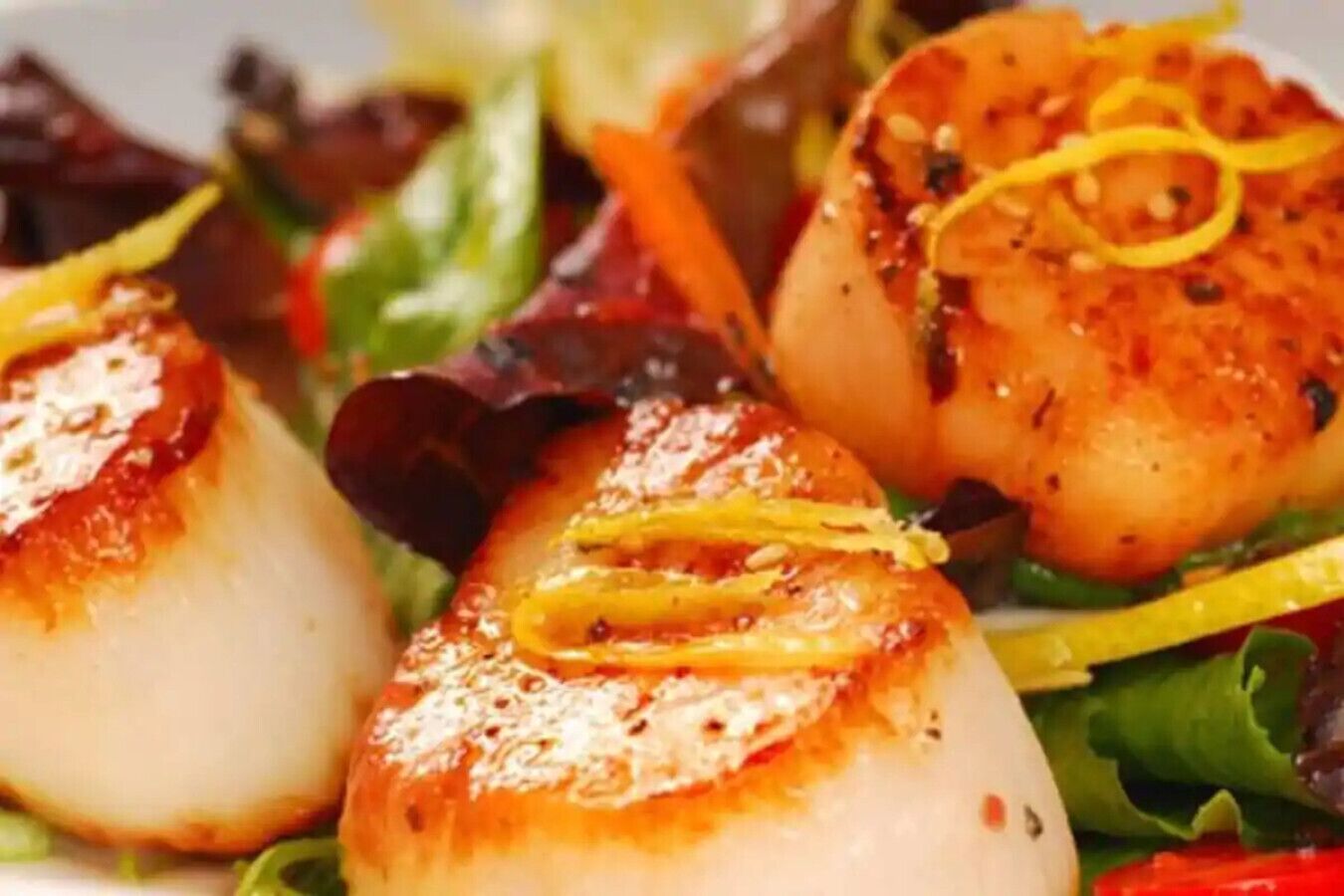 A close-up of seared scallops with lemon zest on a bed of mixed greens.
