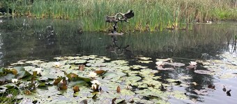 Charming 2-Bed Lodge in Newton Stewart