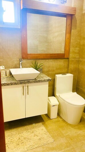 Bathroom features a pedestal sink, toilet, and mirror above the sink.