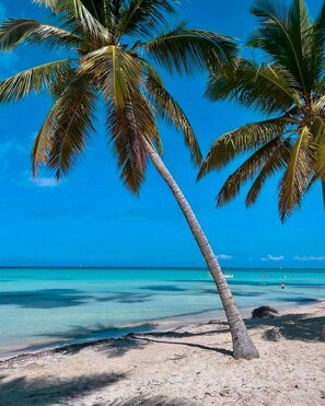 Beach - Perfect tropical island getaway!

 (Las Terrenas)