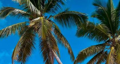 Perfect tropical island getaway!