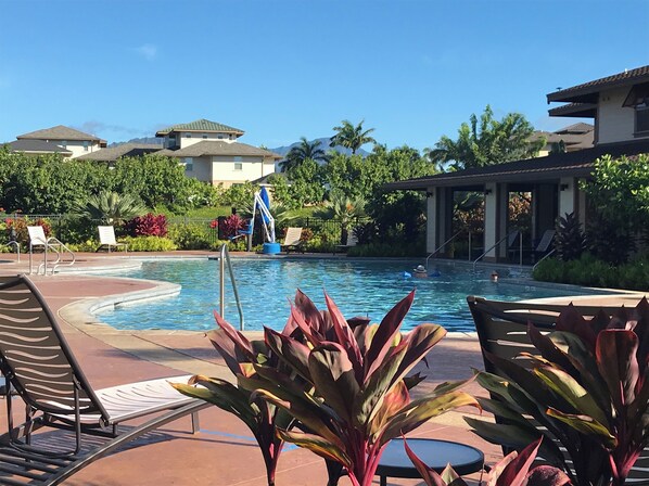 Une piscine dotée de chaises longues et agrémentée de plantes tropicales.