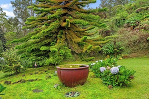 Overnatningsstedets område