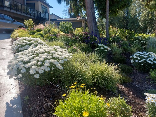 Self Contained Guest Suite