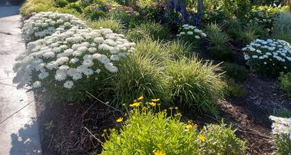 Self Contained Guest Suite