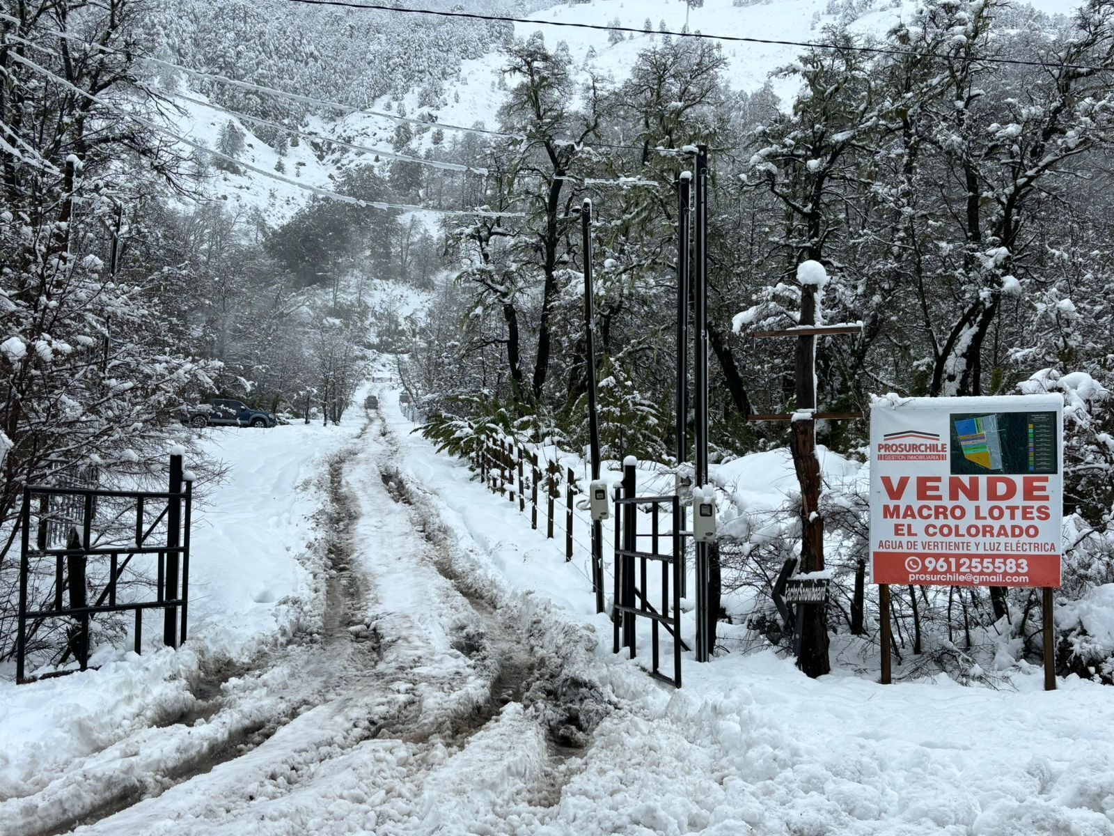 Paisaje nevado con un cartel anunciando una venta de propiedades.