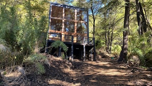 A modern wooden cabin with large windows, surrounded by dense forest.