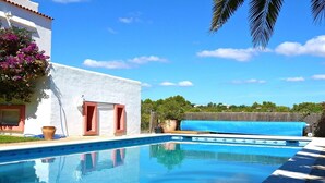 A clear blue swimming pool with a white building in the background, a wooden fence, and a palm tree.