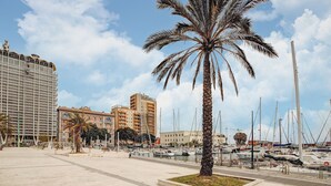A marina with boats, palm trees, and buildings in the background. - Civico36 Feels Like Home (Cagliari)
