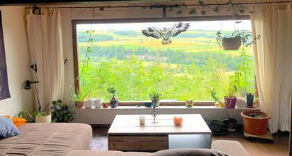 Ferienhaus, Schöntal-Winzenhofenn