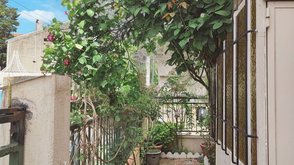 Parco della struttura