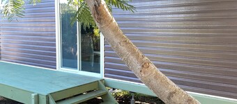 Cosy little cabin 5 minutes from the beach.