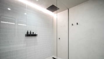Shower, hair dryer, towels, shampoo