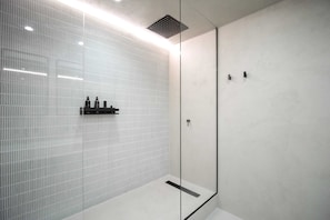 Shower, hair dryer, towels, shampoo