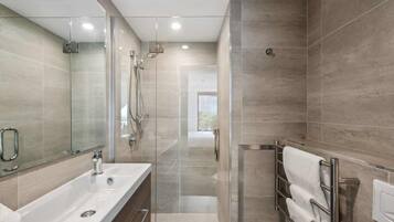 Shower, hair dryer, towels