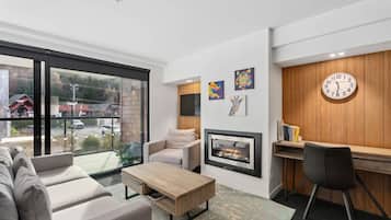 TV, fireplace, stereo, offices
