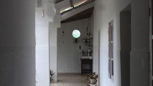 Un couloir étroit aux murs blancs, éclairé par un plafonnier et agrémenté de plantes en pot.