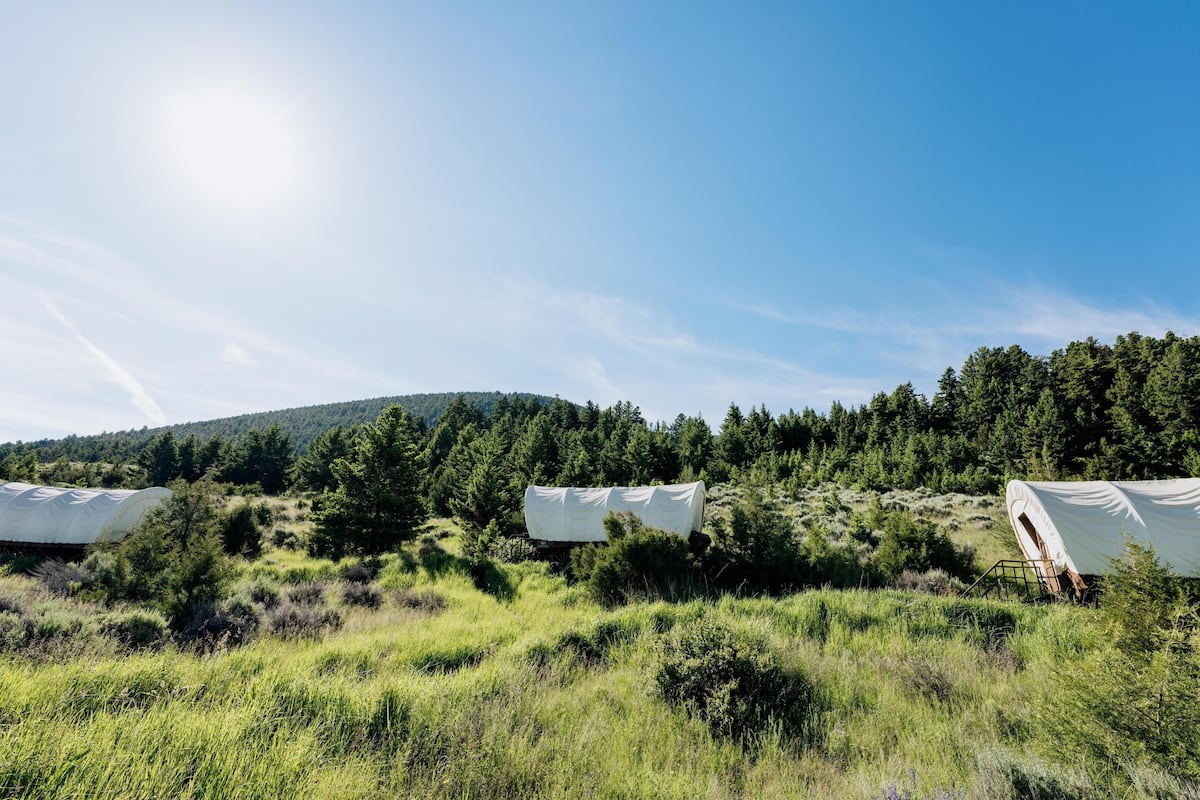 A covered outdoor area with a tent-like structure, surrounded by dense forest and a hill in the background.