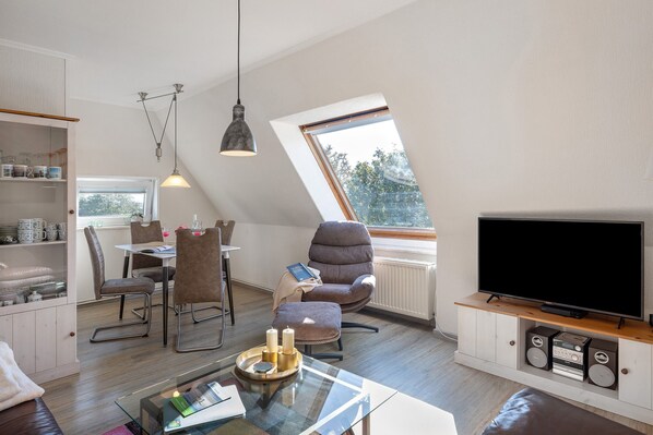 Televisio, DVD-soitin, pöytätennispöytä, stereot