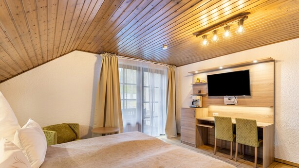 Une chambre à coucher avec un lit, un bureau, une télévision et une fenêtre.