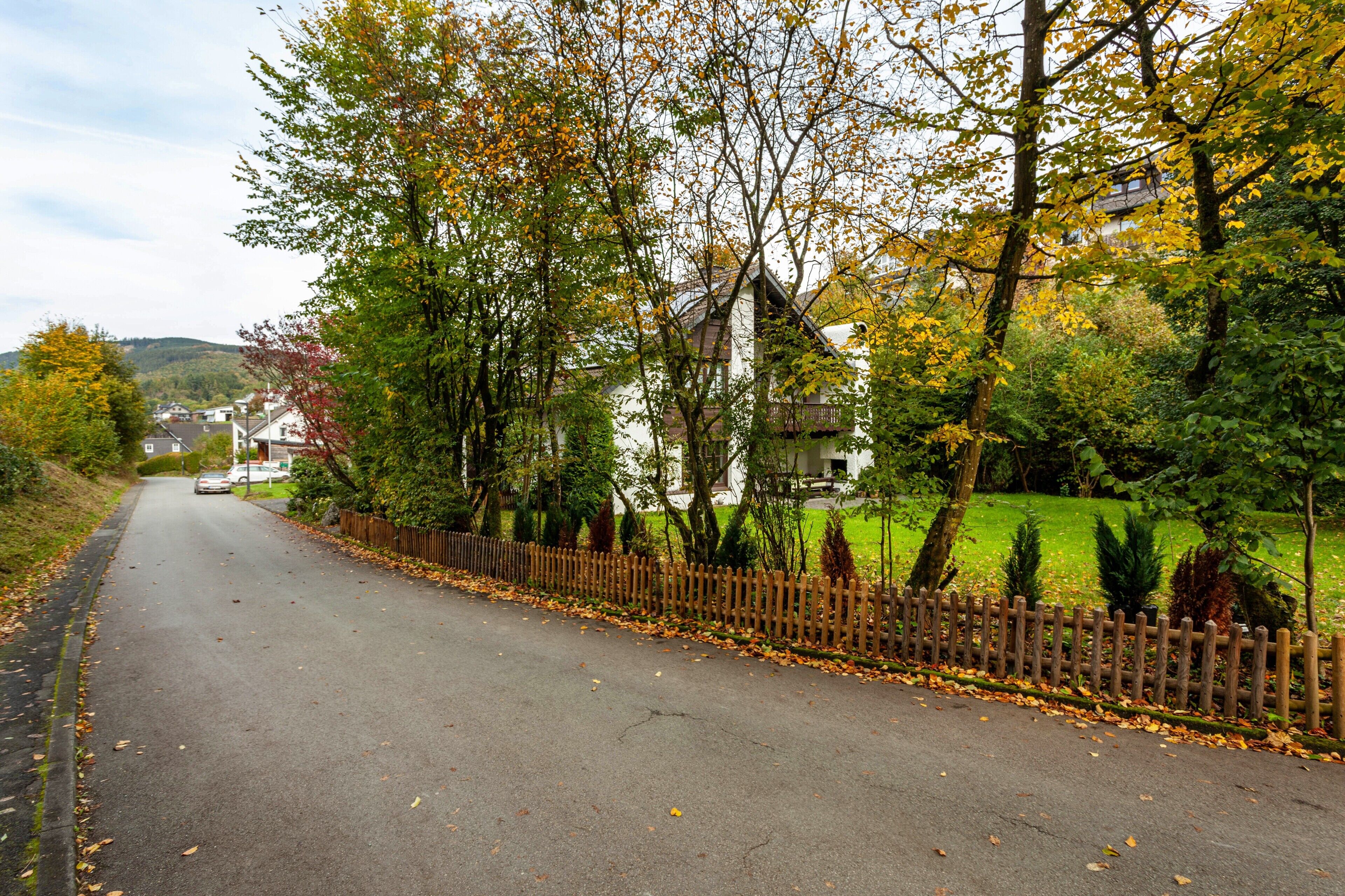 A road lined with trees and a wooden fence, leading to houses.