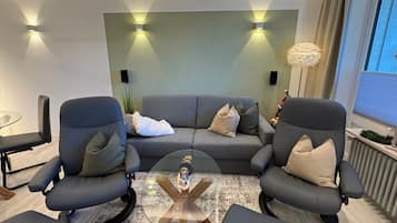 Televisión, chimenea, videojuegos, reproductor de DVD