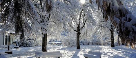 Áreas de la propiedad