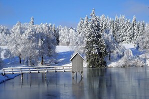Billede uden beskrivelse, 2 af 38, knap