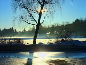 Photo non classée, 4 sur 39, bouton