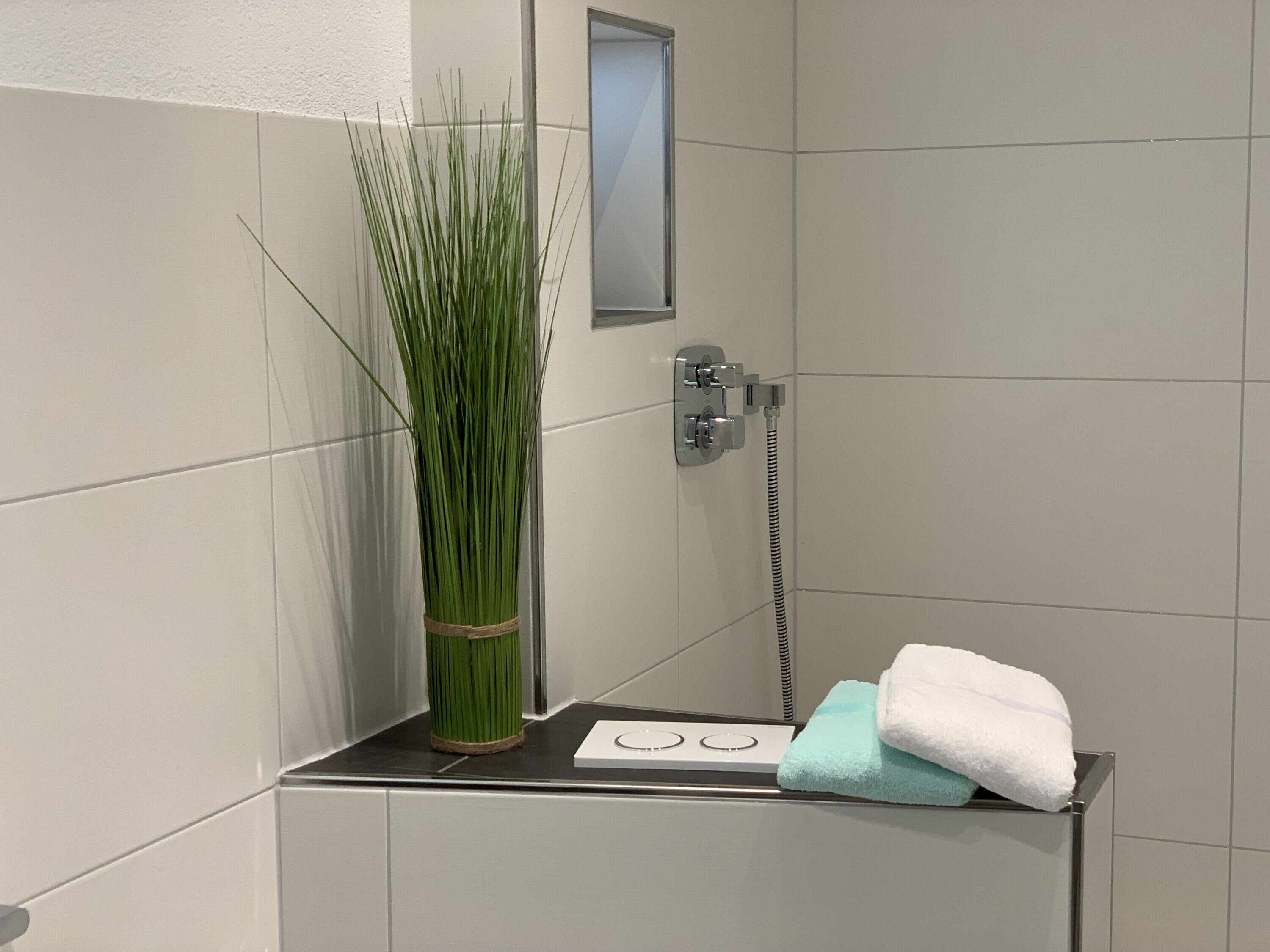 Ducha, secador de pelo y toallas