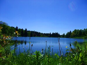 Billede uden beskrivelse, 2 af 30, knap
