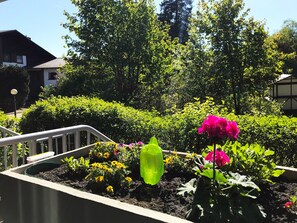 Un jardin avec différentes plantes et fleurs, une rambarde en métal et un bâtiment en arrière-plan.