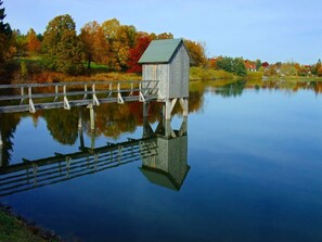 Billede uden beskrivelse, 5 af 30, knap
