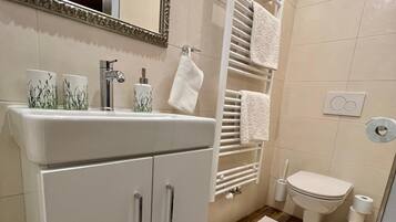 Regadera, secadora de cabello, toallas