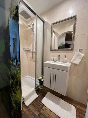 Shower, hair dryer, towels