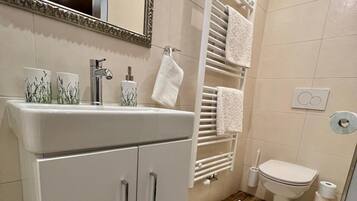 Shower, hair dryer, towels