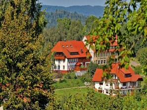 Exterior - Holiday Apartment 'Sleeping Under the Starry Sky' (Dachsberg (Südschwarzwald))