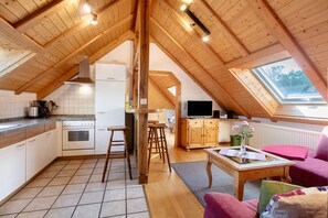 TV - Holiday Apartment 'Sleeping Under the Starry Sky' (Dachsberg (Südschwarzwald))
