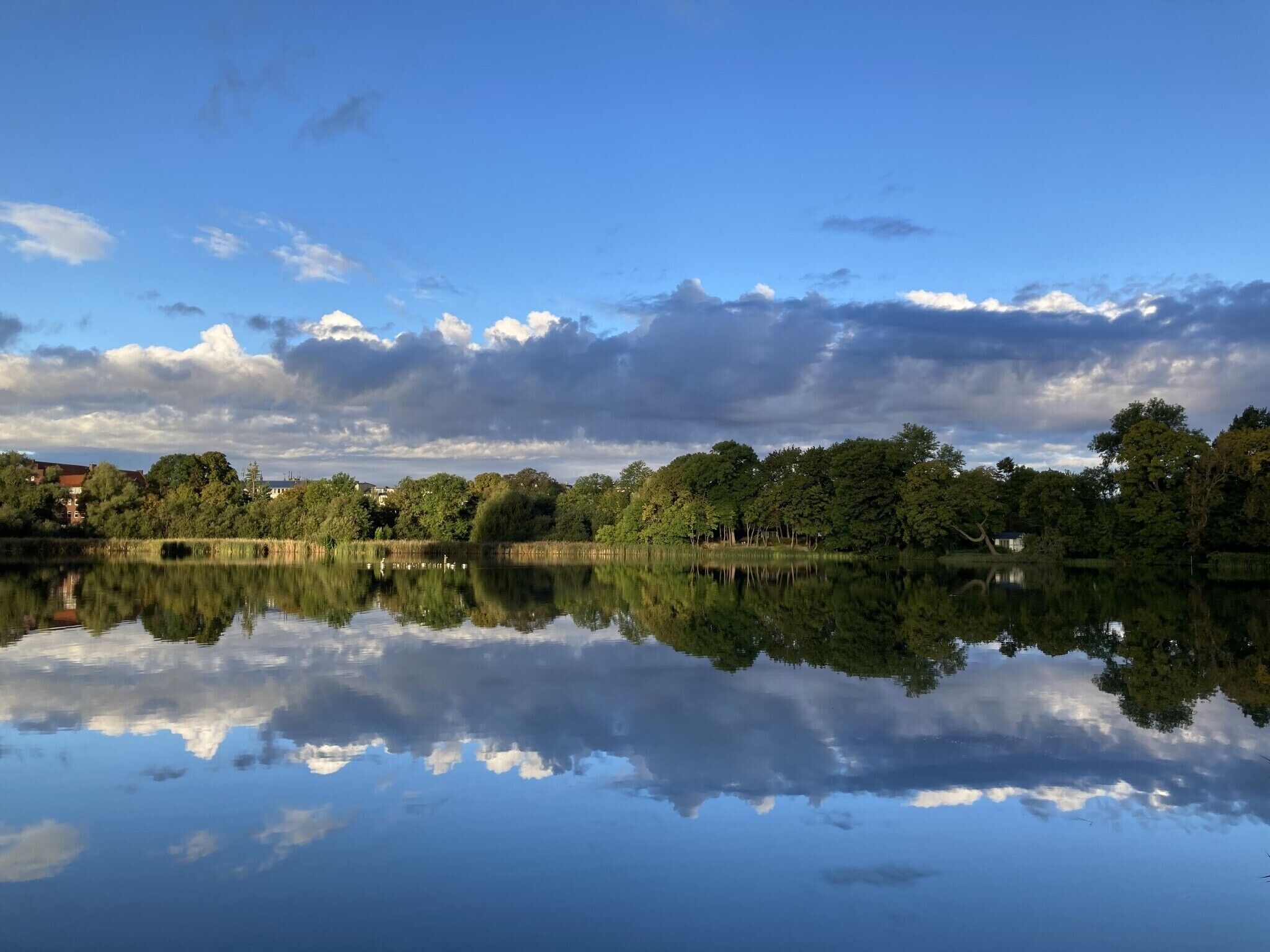 Een rustig meer met heldere reflecties van bomen en lucht, omringd door een dicht bos en gebouwen op de achtergrond.