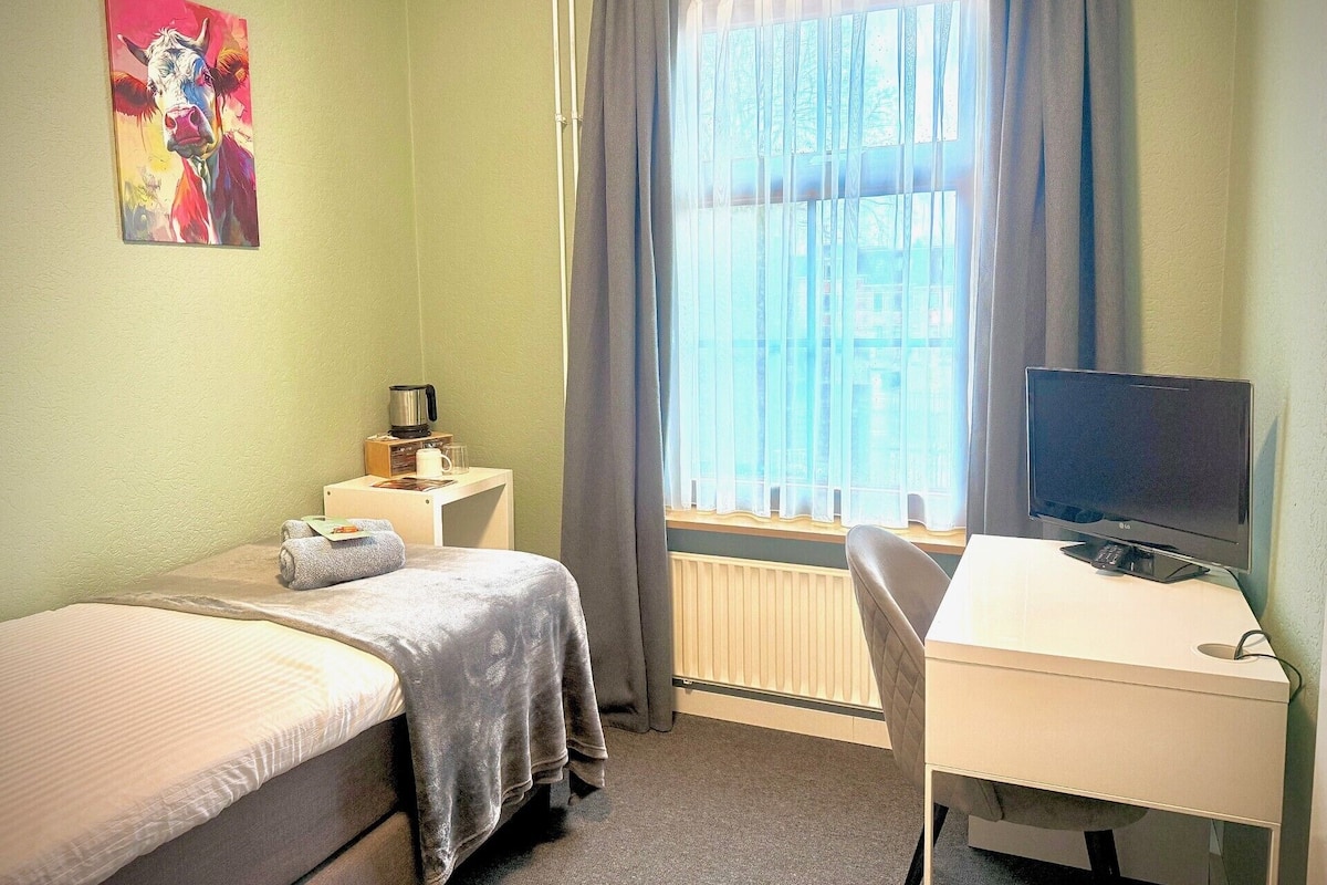 Standard Single Room, City View | Desk, free WiFi