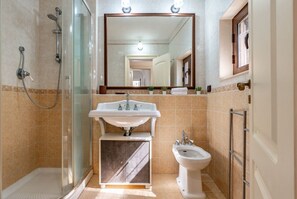 Shower, hair dryer, bidet, towels