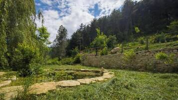 Àrea exterior de l'allotjament