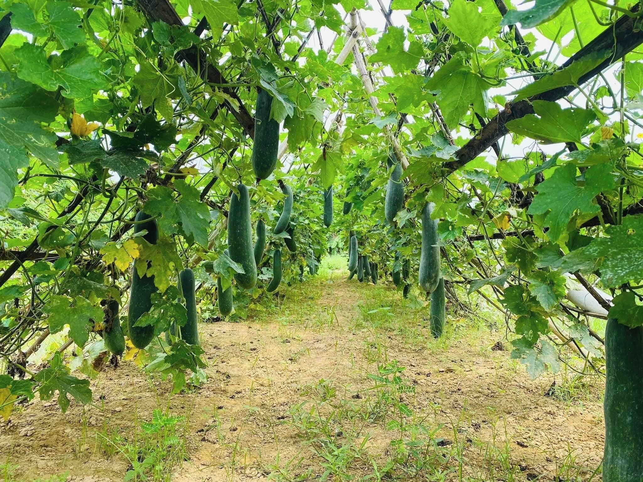 Voorkant van accommodatie