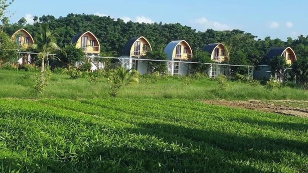 A row of dome-shaped cottages with a lush green landscape and a forested hill in the background. - Thanh Chiem Village (Da Nang)