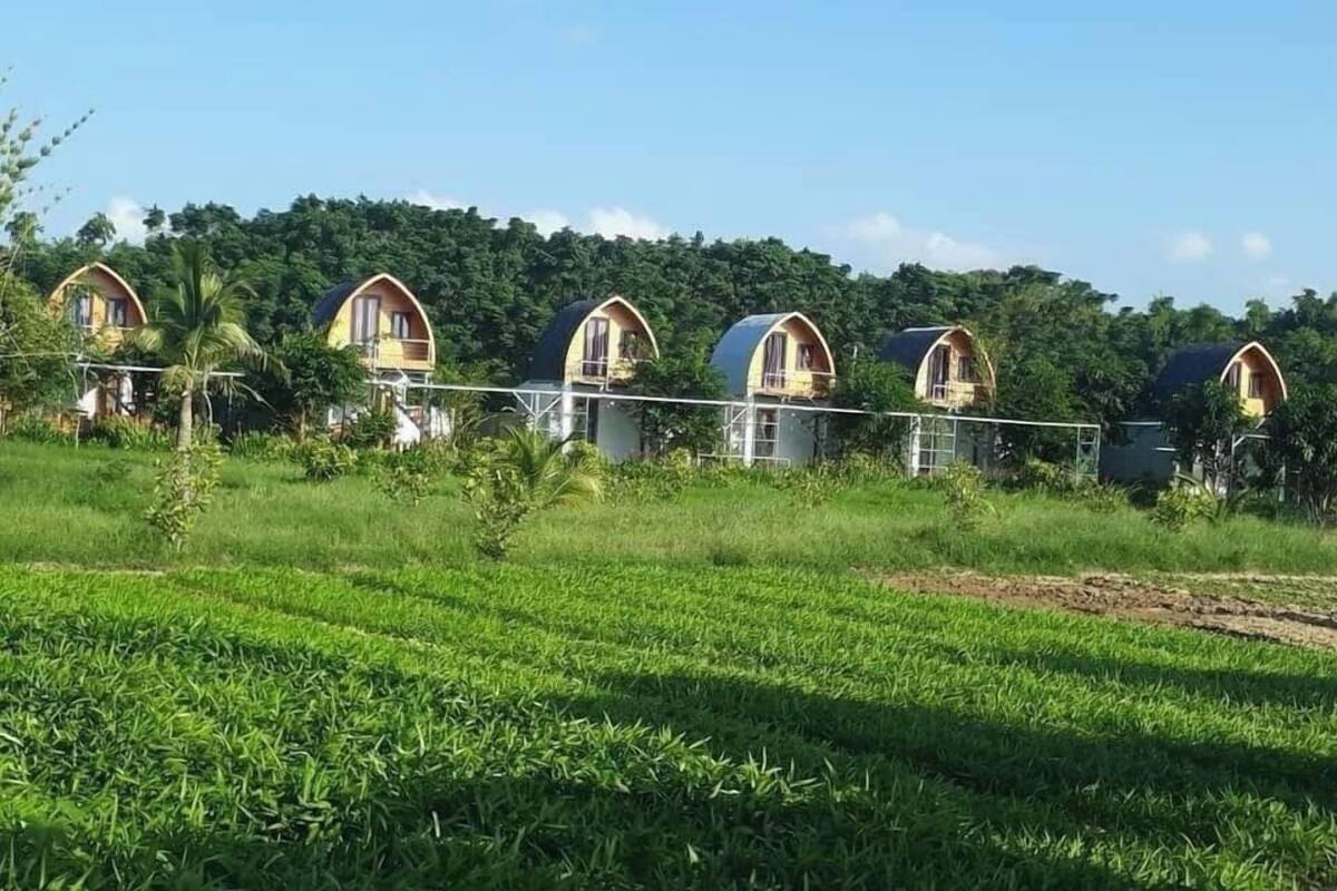 A row of dome-shaped cottages with a lush green landscape and a forested hill in the background.