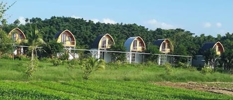 6 habitaciones y internet por cable gratis