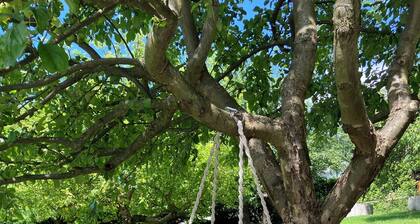 NEW - Chic apartment near the Red Bull Ring