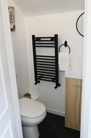 Ducha, secador de pelo, toallas y papel higiénico