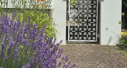 Cozy 120m2 apartment on the Rhine promenade. Family and group friendly!